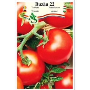Tomate Buzau 22 150 seminte